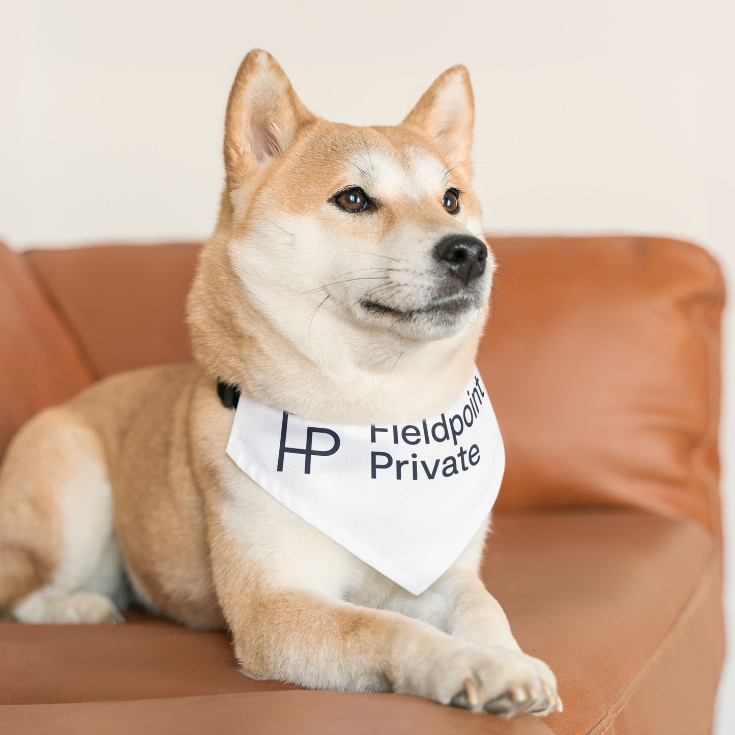Pet Bandana Collar